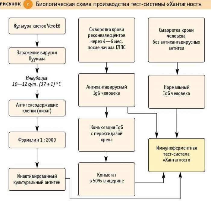 Dzagurova et. al_2_.jpg